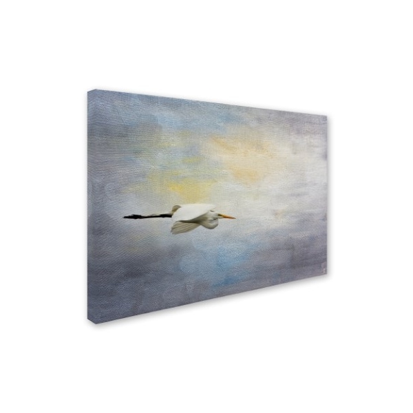 Jai Johnson 'Silent Flight Great White Egret' Canvas Art,18x24